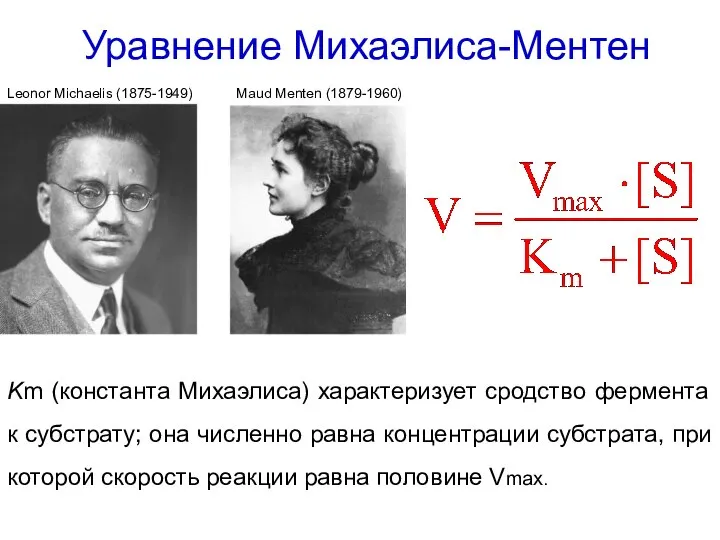 Уравнение Михаэлиса-Ментен Km (константа Михаэлиса) характеризует сродство фермента к субстрату; она