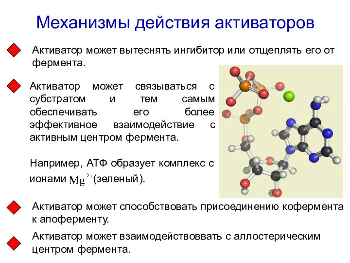 Механизмы действия активаторов Активатор может вытеснять ингибитор или отщеплять его от