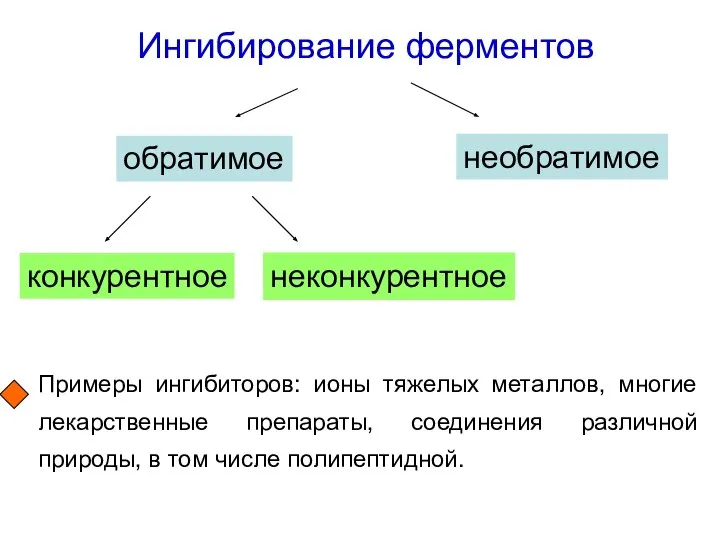 Ингибирование ферментов обратимое необратимое конкурентное неконкурентное Примеры ингибиторов: ионы тяжелых металлов,