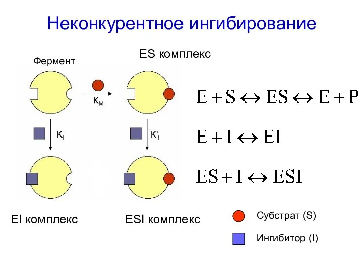 Неконкурентное ингибирование ES комплекс EI комплекс ESI комплекс Фермент Субстрат (S) Ингибитор (I)