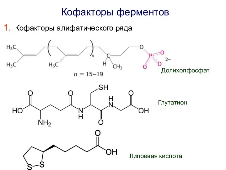 Кофакторы ферментов Кофакторы алифатического ряда Липоевая кислота Глутатион Долихолфосфат