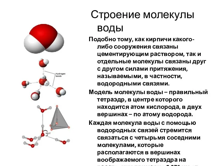 Строение молекулы воды Подобно тому, как кирпичи какого-либо сооружения связаны цементирующим