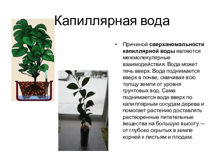 Капиллярная вода Причиной сверханомальности капиллярной воды являются межмолекулярные взаимодействия. Вода может