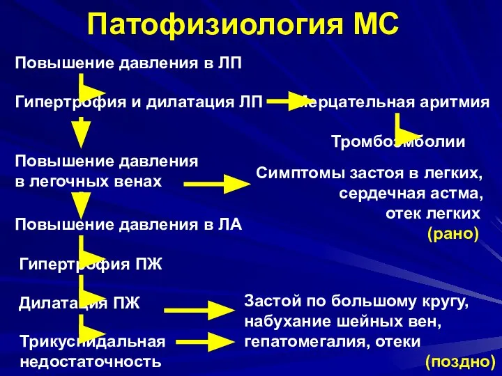 Патофизиология МС Повышение давления в ЛП Гипертрофия и дилатация ЛП Повышение