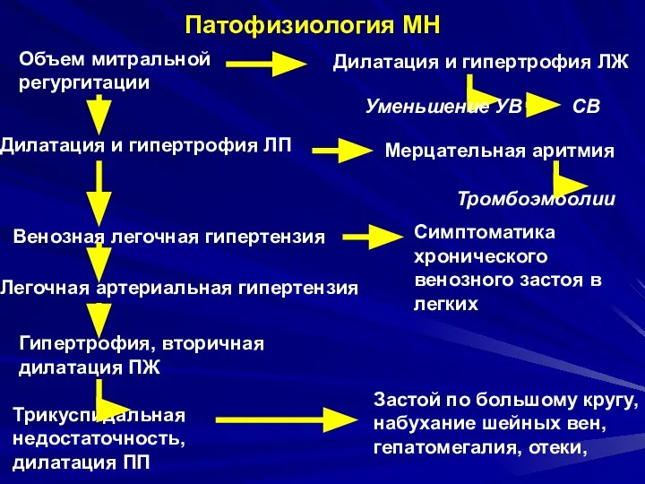 Патофизиология МН Объем митральной регургитации Дилатация и гипертрофия ЛЖ Дилатация и