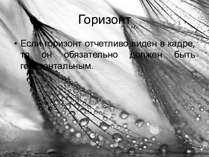 Горизонт Если горизонт отчетливо виден в кадре, то он обязательно должен быть горизонтальным.