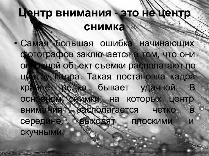 Центр внимания - это не центр снимка Самая большая ошибка начинающих