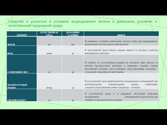 Сходства и различия в условиях выращивания зелени в домашних условиях и естественной природной среде: