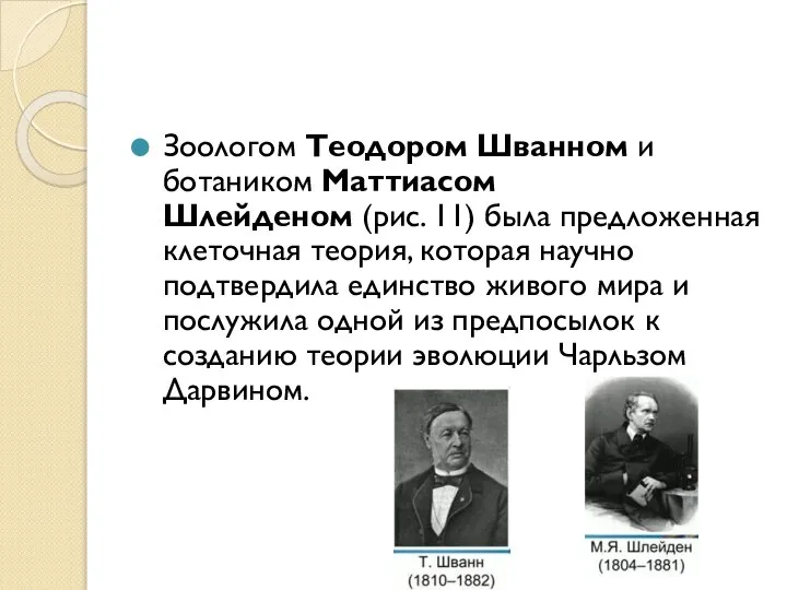 Зоологом Теодором Шванном и ботаником Маттиасом Шлейденом (рис. 11) была предложенная