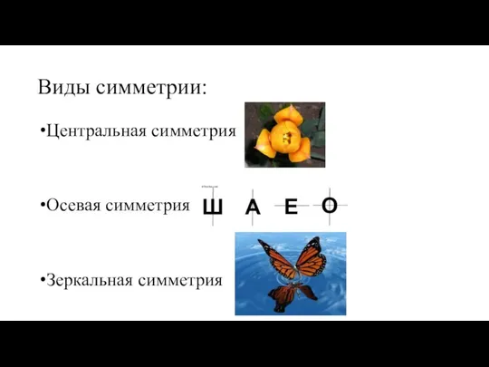 Виды симметрии: Центральная симметрия Осевая симметрия Зеркальная симметрия