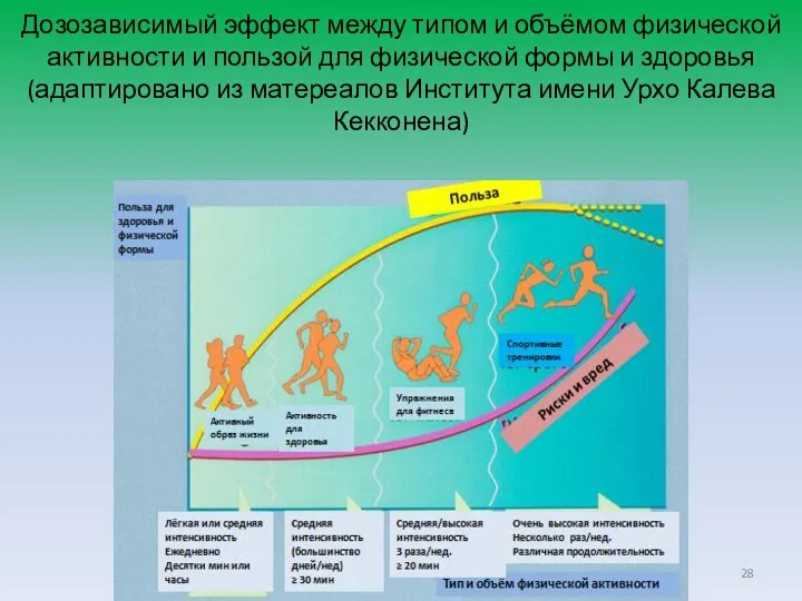 Дозозависимый эффект между типом и объёмом физической активности и пользой для