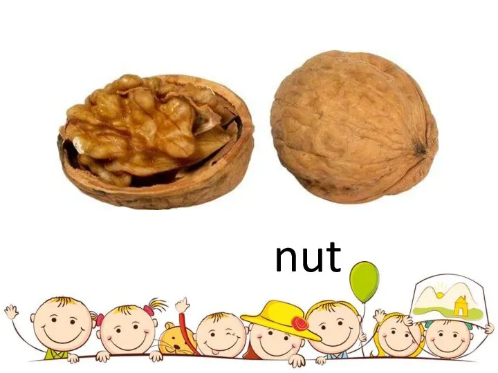 nut