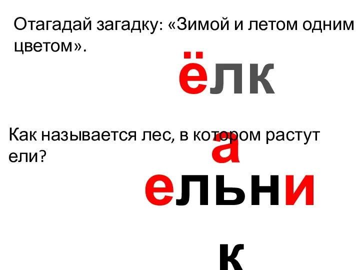 Отагадай загадку: «Зимой и летом одним цветом». ёлка Как называется лес, в котором растут ели? ельник