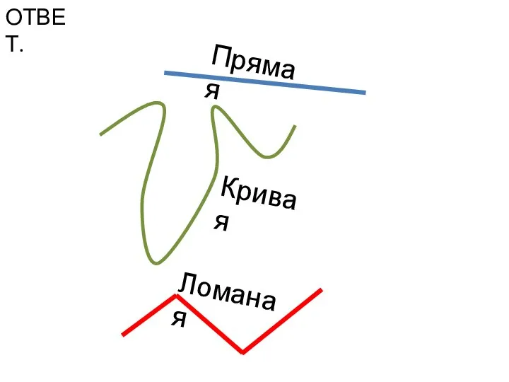 ОТВЕТ. Прямая Кривая Ломаная