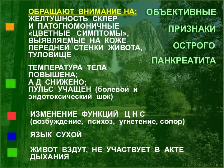 ОБЪЕКТИВНЫЕ ПРИЗНАКИ ОСТРОГО ПАНКРЕАТИТА ОБРАЩАЮТ ВНИМАНИЕ НА: ЖЕЛТУШНОСТЬ СКЛЕР И ПАТОГНОМОНИЧНЫЕ