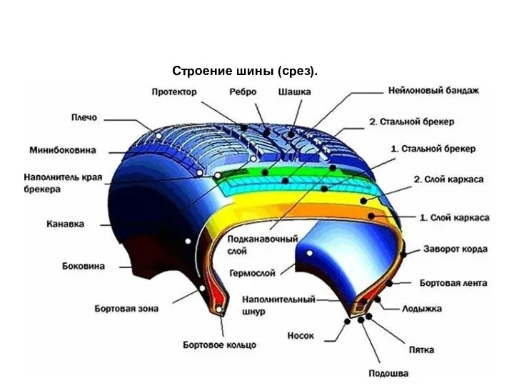 Строение шины (срез).