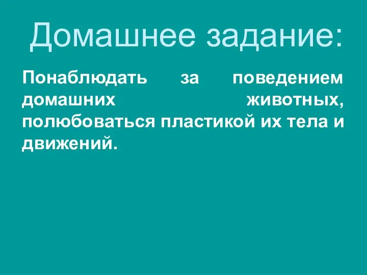 Домашнее задание: Понаблюдать за поведением домашних животных, полюбоваться пластикой их тела и движений.