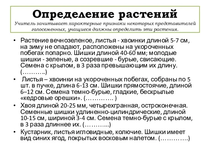 Определение растений Учитель зачитывает характерные признаки некоторых представителей голосеменных, учащиеся должны