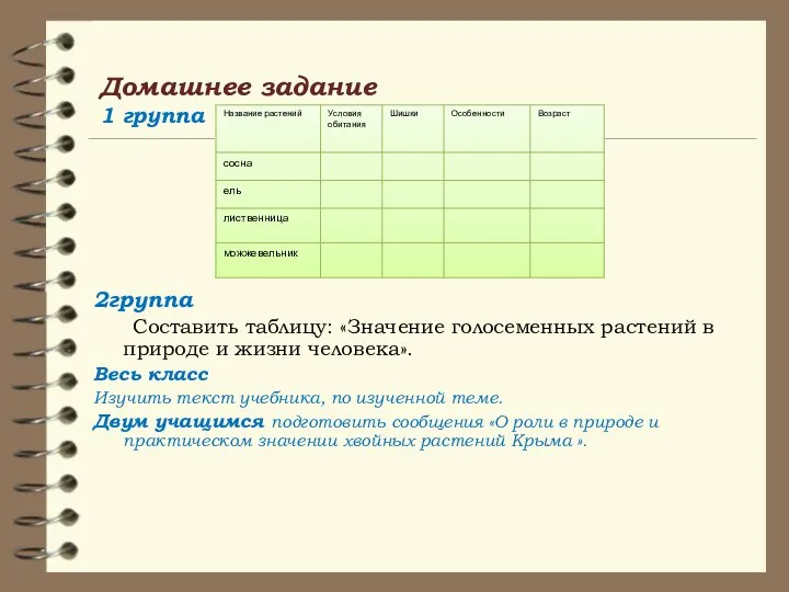 Домашнее задание 1 группа 2группа Составить таблицу: «Значение голосеменных растений в