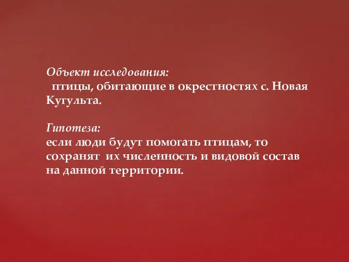 Объект исследования: птицы, обитающие в окрестностях с. Новая Кугульта. Гипотеза: если