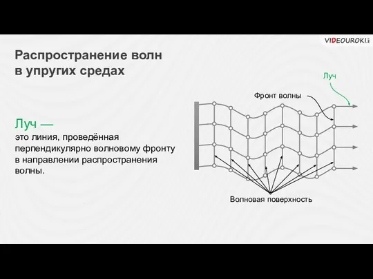 Распространение волн в упругих средах Луч — это линия, проведённая перпендикулярно