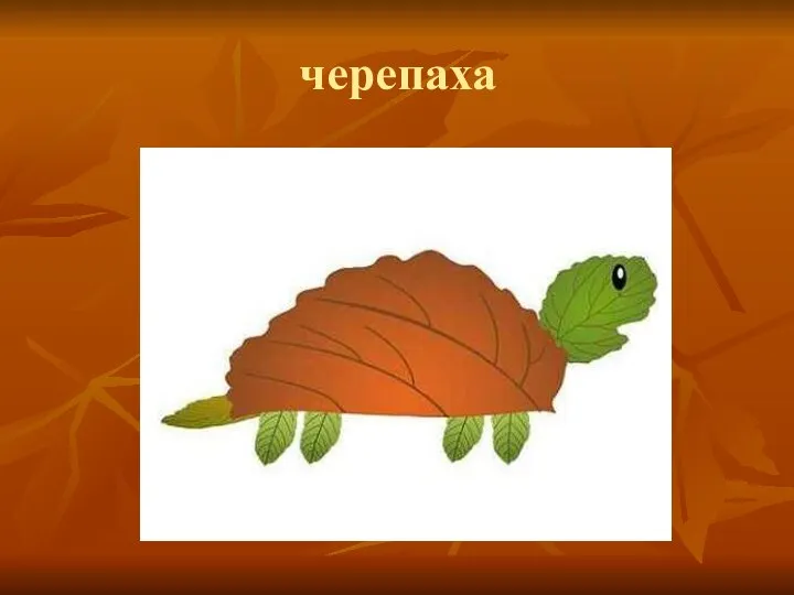 черепаха