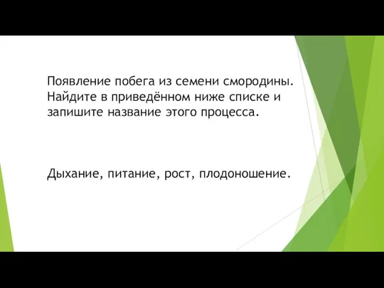 Появление побега из семени смородины. Найдите в приведённом ниже списке и