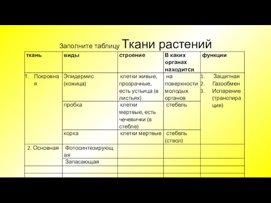 Заполните таблицу Ткани растений