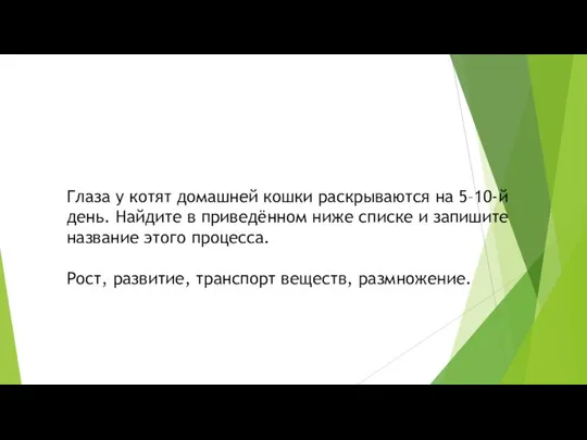 Глаза у котят домашней кошки раскрываются на 5–10-й день. Найдите в