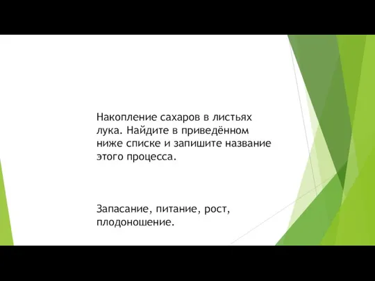 Накопление сахаров в листьях лука. Найдите в приведённом ниже списке и