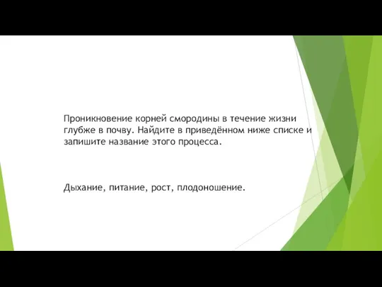 Проникновение корней смородины в течение жизни глубже в почву. Найдите в