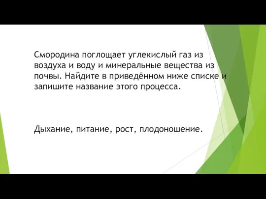 Смородина поглощает углекислый газ из воздуха и воду и минеральные вещества