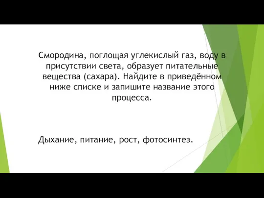 Смородина, поглощая углекислый газ, воду в присутствии света, образует питательные вещества