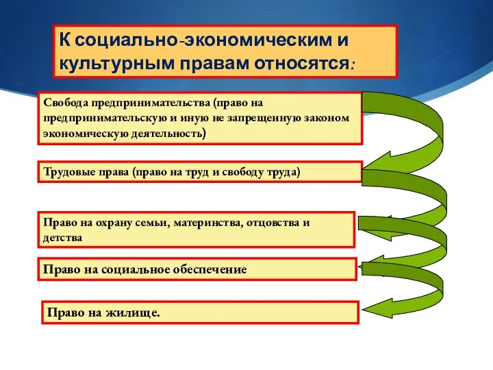 К социально-экономическим и культурным правам относятся: Свобода предпринимательства (право на предпринимательскую