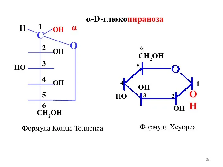 OH OH OH HO CH2OH Формула Колли-Толленса Формула Хеуорса 1 α-D-глюкопираноза 6 5 4 3 2