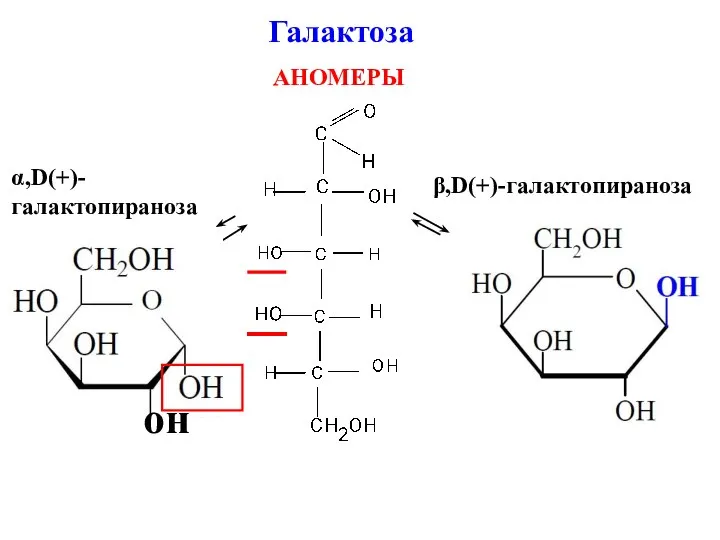 Галактоза АНОМЕРЫ он α,D(+)-галактопираноза β,D(+)-галактопираноза