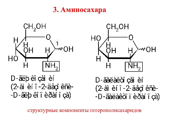 3. Аминосахара структурные компоненты гетерополисахаридов