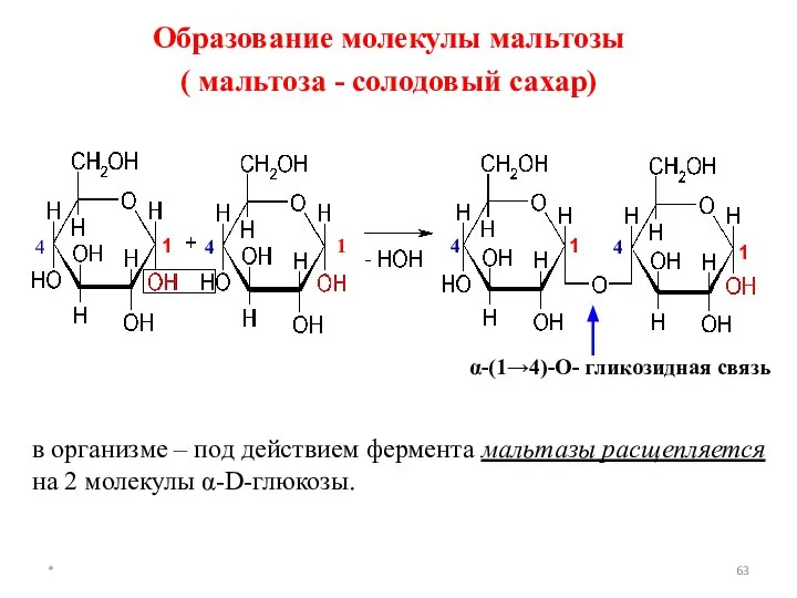 * 1 1 4 4 4 1 1 4 α-(1→4)-О- гликозидная