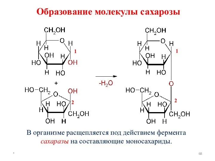 * В организме расщепляется под действием фермента сахаразы на составляющие моносахариды.