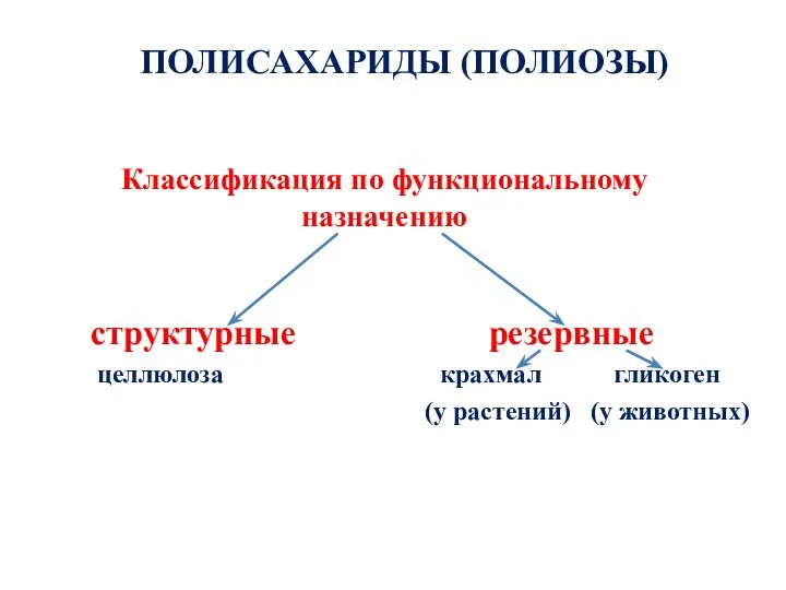 Классификация по функциональному назначению структурные резервные целлюлоза крахмал гликоген (у растений) (у животных) ПОЛИСАХАРИДЫ (ПОЛИОЗЫ)