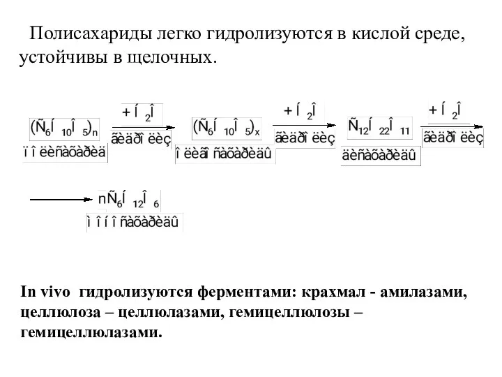 Полисахариды легко гидролизуются в кислой среде, устойчивы в щелочных. In vivo