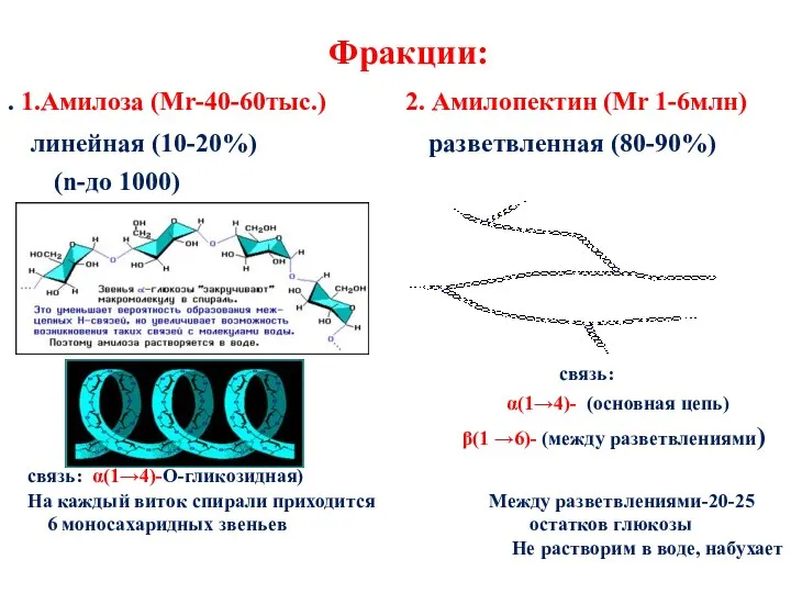 Фракции: . 1.Амилоза (Мr-40-60тыс.) 2. Амилопектин (Мr 1-6млн) линейная (10-20%) разветвленная