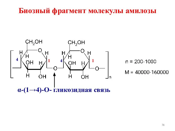 Биозный фрагмент молекулы амилозы α-(1→4)-О- гликозидная связь 1 4 4 1