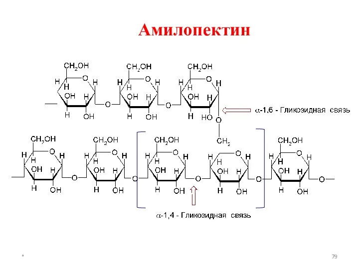 * Амилопектин