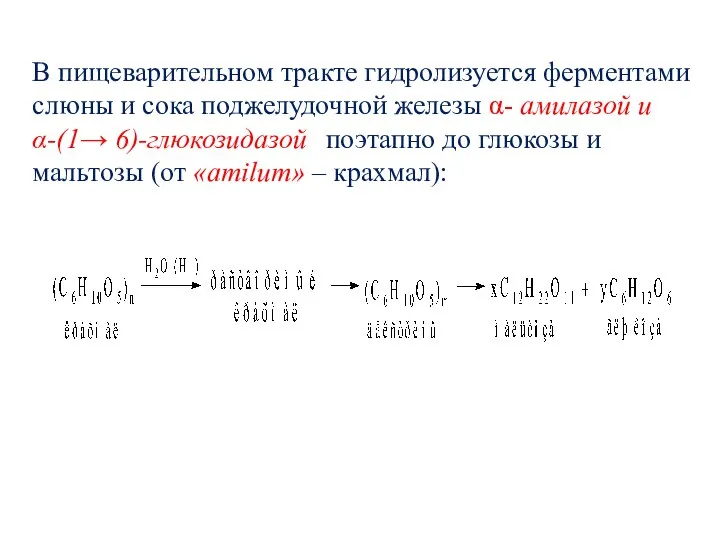 В пищеварительном тракте гидролизуется ферментами слюны и сока поджелудочной железы α-