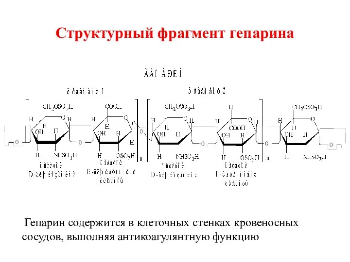 Структурный фрагмент гепарина Гепарин содержится в клеточных стенках кровеносных сосудов, выполняя антикоагулянтную функцию