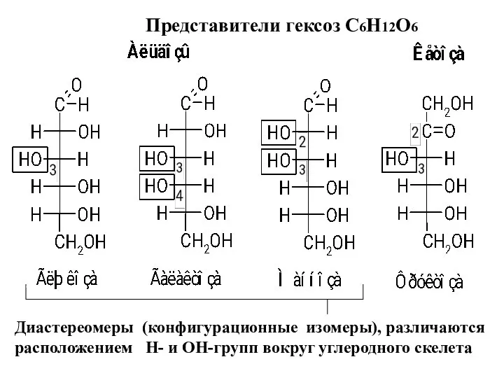 Представители гексоз С6Н12О6 Диастереомеры (конфигурационные изомеры), различаются расположением Н- и ОН-групп вокруг углеродного скелета