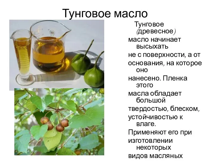 Тунговое масло Тунговое(древесное) масло начинает высыхать не с поверхности, а от