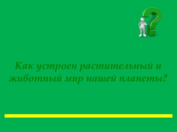 Как устроен растительный и животный мир нашей планеты?