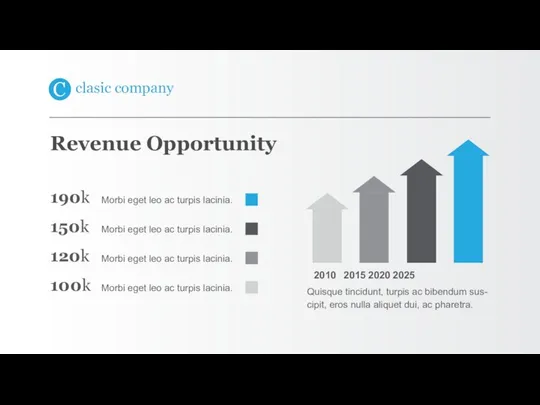 Revenue Opportunity 2010 2015 2020 2025 Quisque tincidunt, turpis ac bibendum